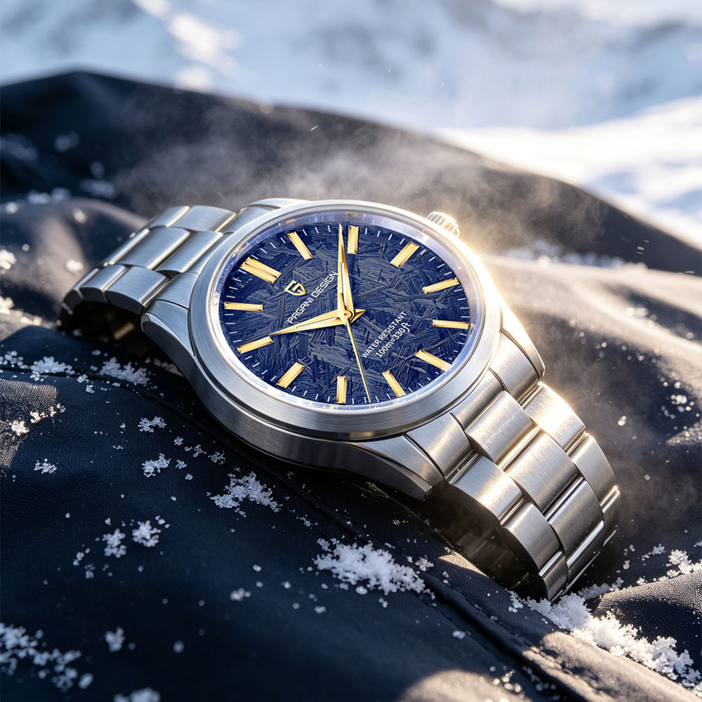 PAGANI DESIGN 40MM Mannen Quar - Accessories With Watch recensie en prijs